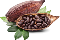 Cocoa